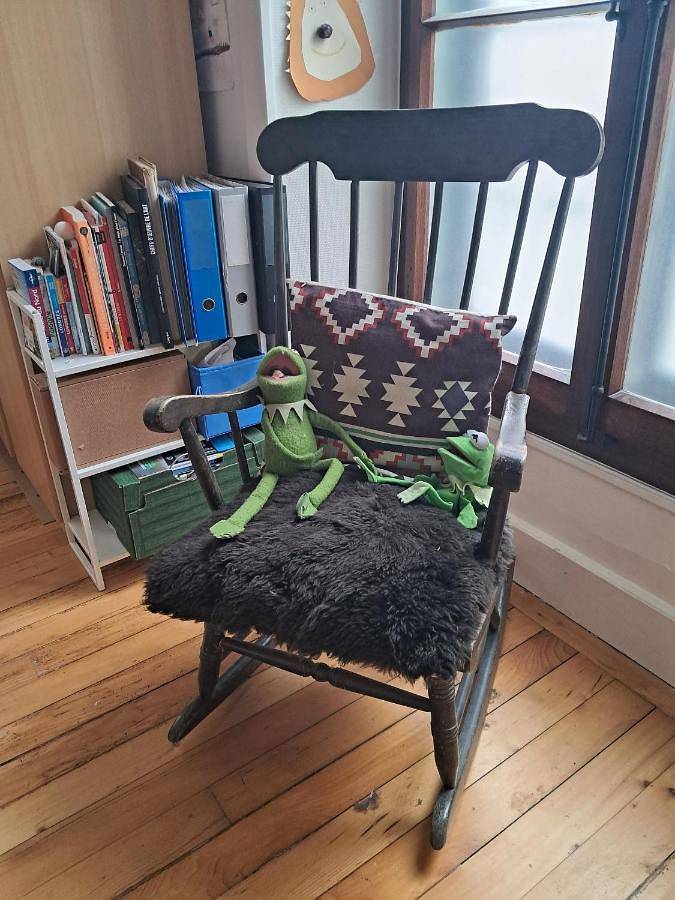 Gîte pour 2 personnes, animaux acceptés à Vevey - 3