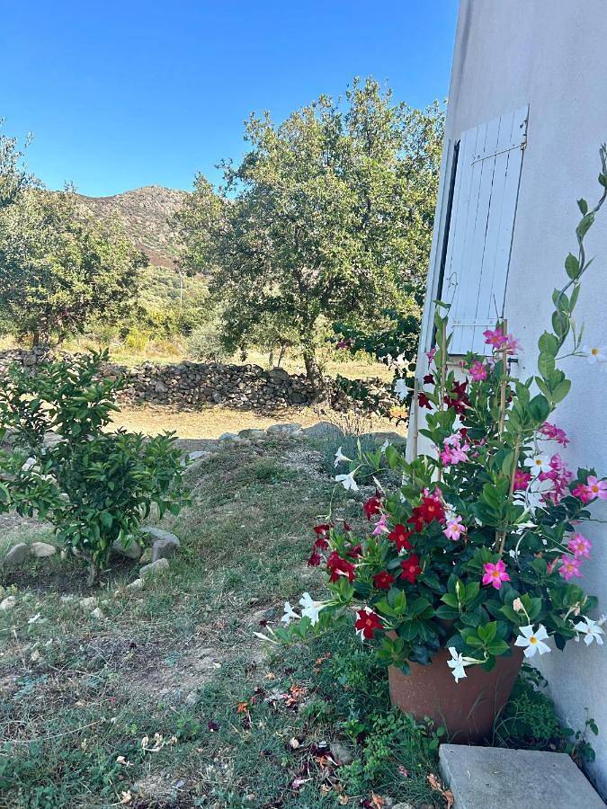 Gîte pour 6 personnes, avec vue ainsi que balcon et jardin à Feliceto - 4