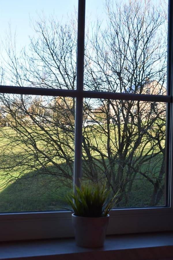 Gîte pour 3 personnes, avec vue ainsi que vue sur le lac et jardin à Sainte-Ode - 4