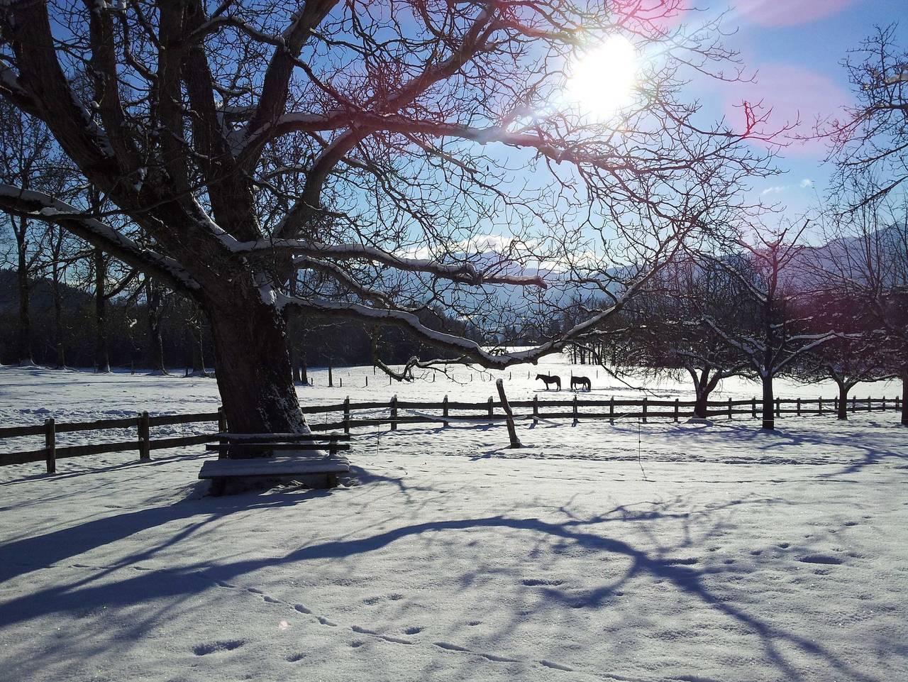 Ferienhaus für 4 Personen in Gmund, Alpenland Tegernsee Schliersee