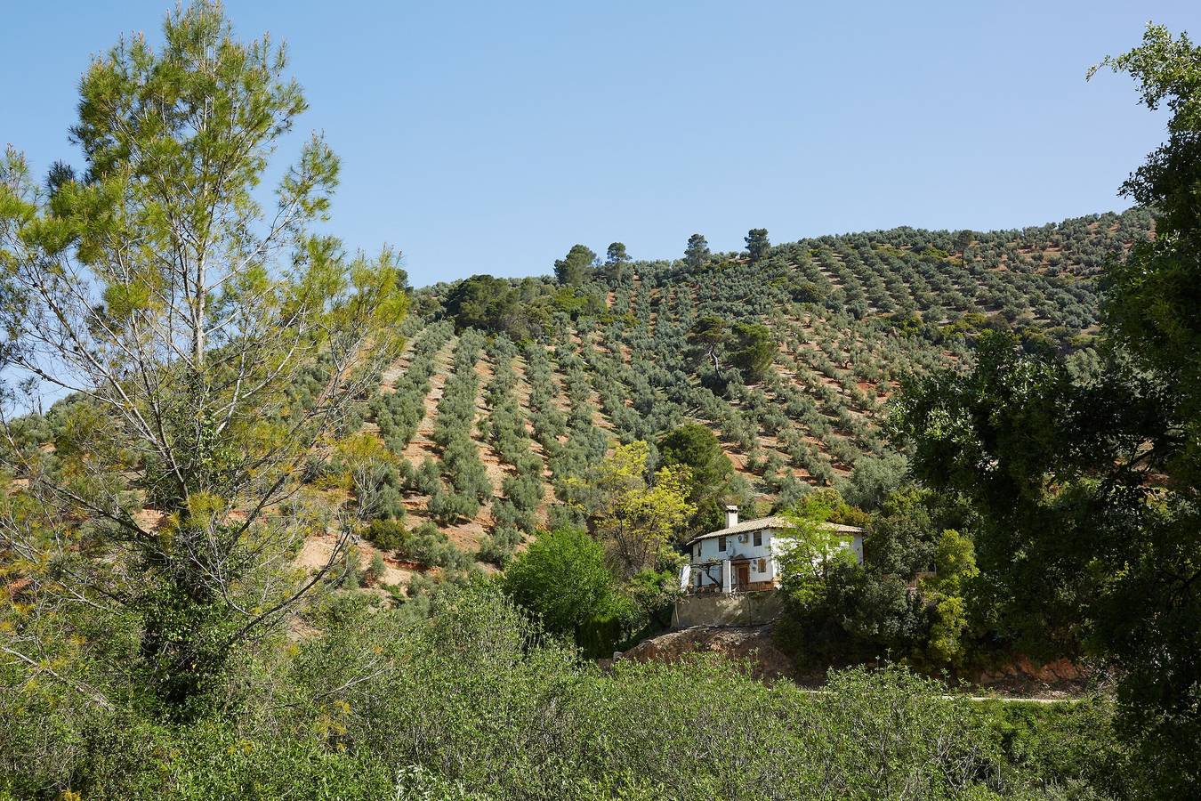 Maison de campagne 'Los Angostones' avec vue sur la montagne, piscine et climatisation in Villanueva del Arzobispo, Parc naturel des sierras de Cazorla et Segura