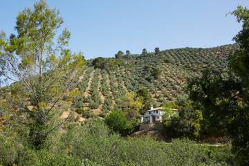 Casa Rural para 14 Personas en Villanueva del Arzobispo, Parque natural de las Sierras de Cazorla y Segura, Foto 1