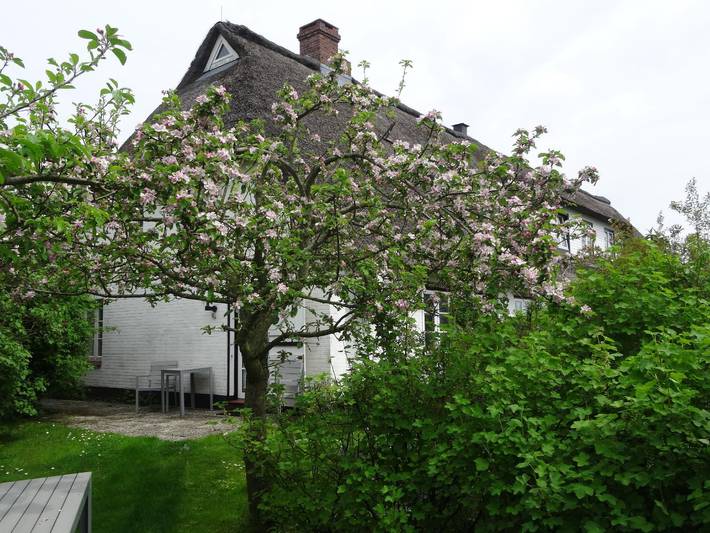 Ferienwohnung für 4 Personen, mit Garten und Sauna sowie Terrasse in Pommerby - 4