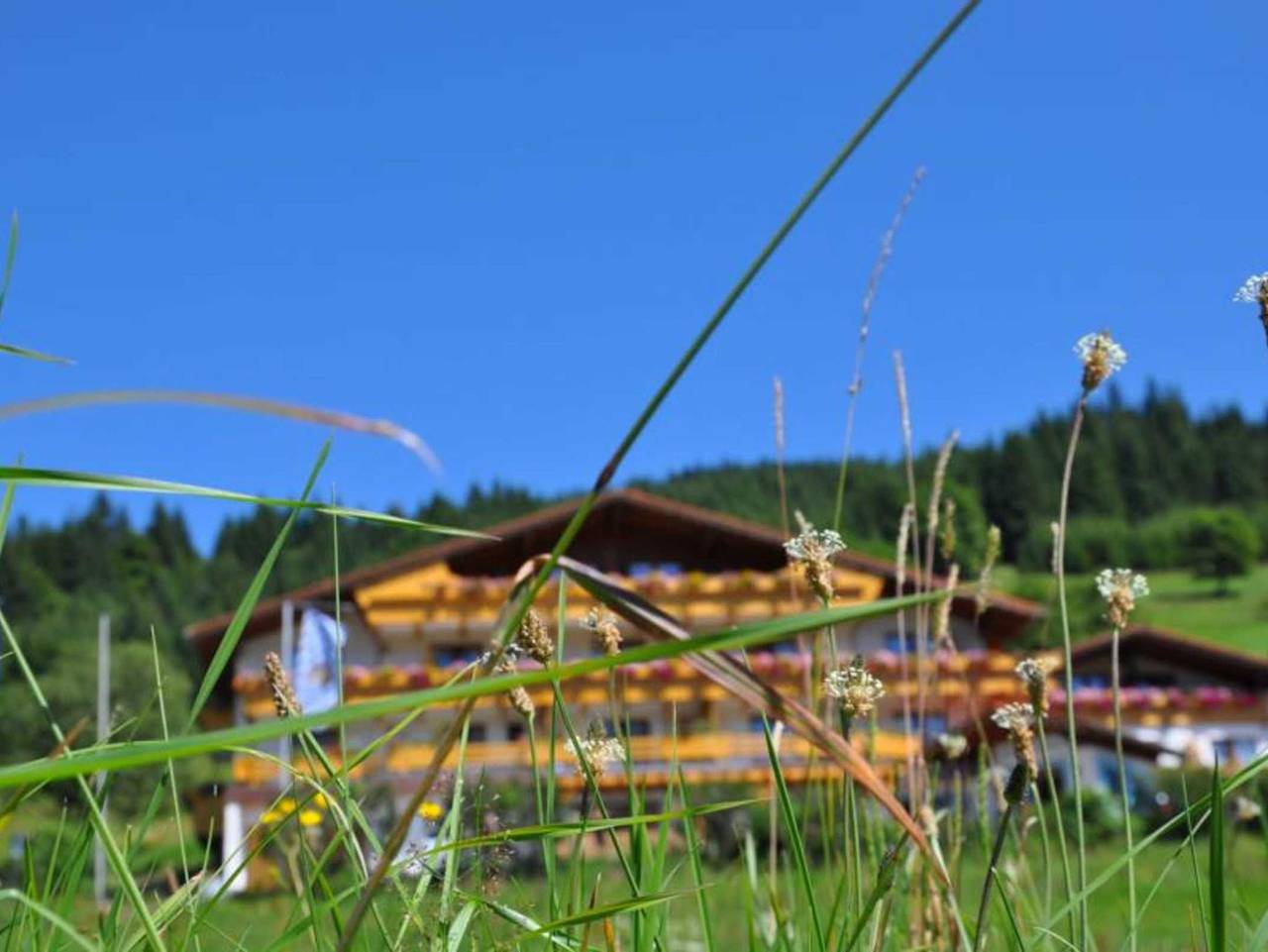 Ganze Ferienwohnung, Landhaus Wildschütz - Alpenveilchen in Jungholz, Bayerische Alpen