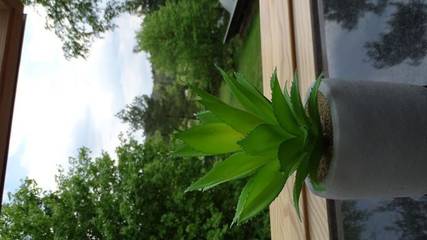 Ferienwohnung für 4 Personen in Lückendorf, Oybin, Bild 3