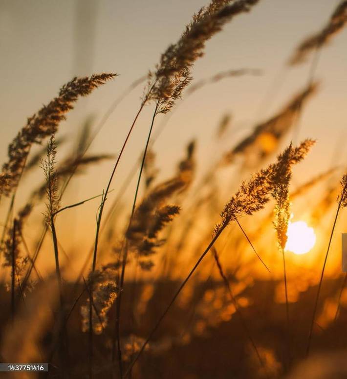 Location de vacances pour 2 personnes, avec jardin ainsi que terrasse et vue à Saint-Just-Luzac