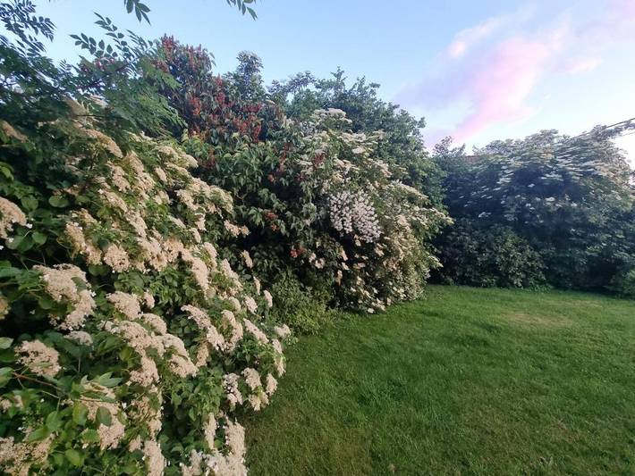 Location de vacances pour 6 personnes, avec vue et balcon à Mettet - 3