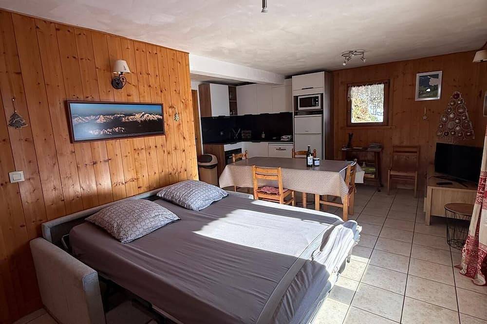 Appartement entier, Face au Mont-Blanc, location au rez-de-chaussée d'un chalet à Passy in Passy, Pays du Mont-Blanc