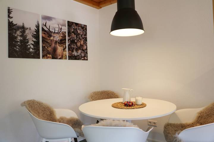 Gîte pour 3 personnes, avec terrasse et jardin, animaux acceptés à Feldberg - 3