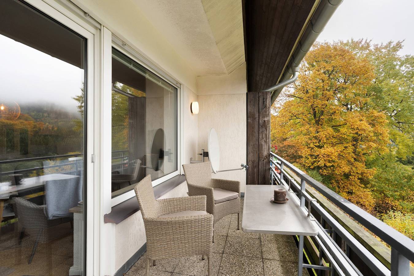 Ganze Wohnung, Ferienwohnung Wald-Ausblick mit privater Terrasse und Balkon in Willingen, die Mittelgebirge