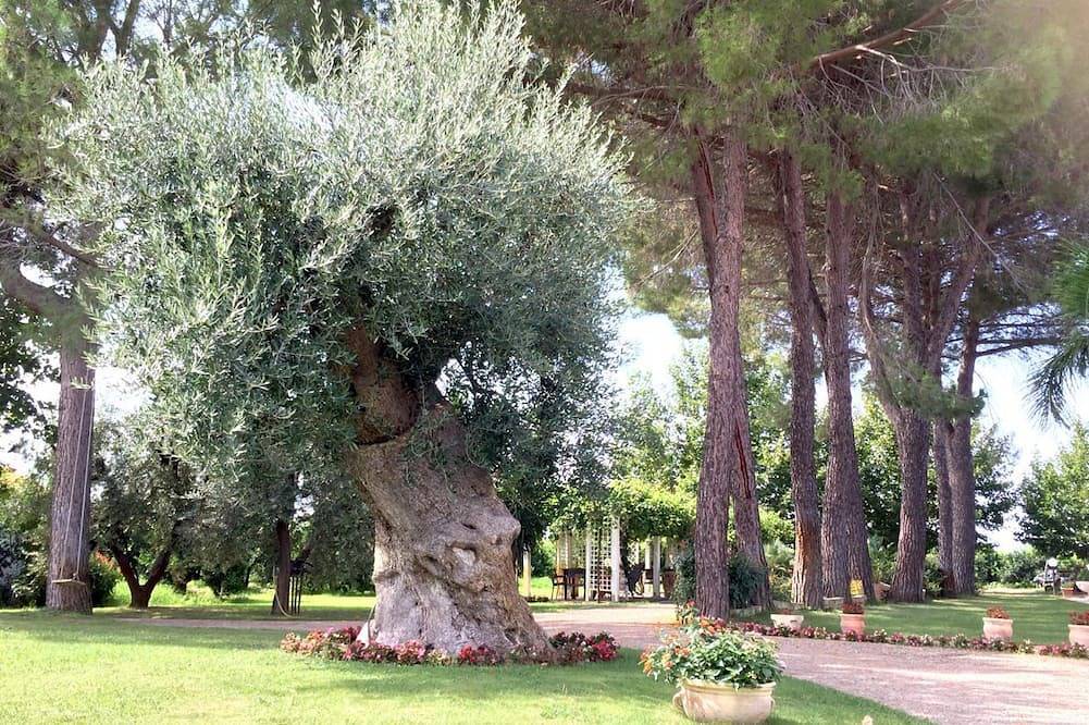 Ganze Wohnung, La Stornara - Apulian Ancient Holydafarm - Apartment \"La Margherita\" in Ginosa, Golf von Tarent