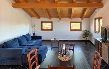 Ferieudlejning til 15 Personer i Plovanija, Umag og Omland, Billede 4