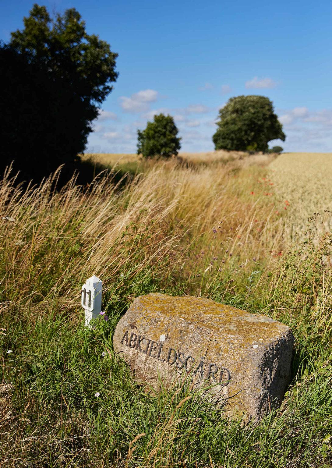Pace, silenzio ed energia positiva in Helnæs, Piccolo Belt