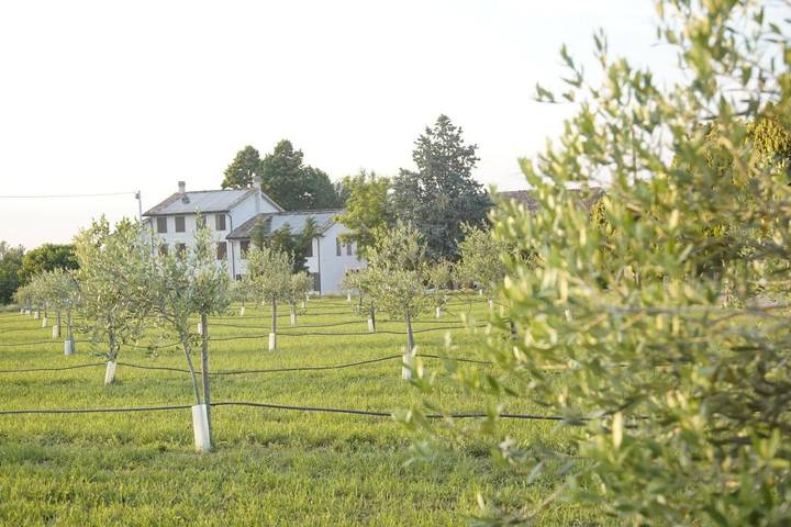 Appartamento per 4 persone, con panorama e balcone nonché vista lago e giardino in Provincia di Piacenza