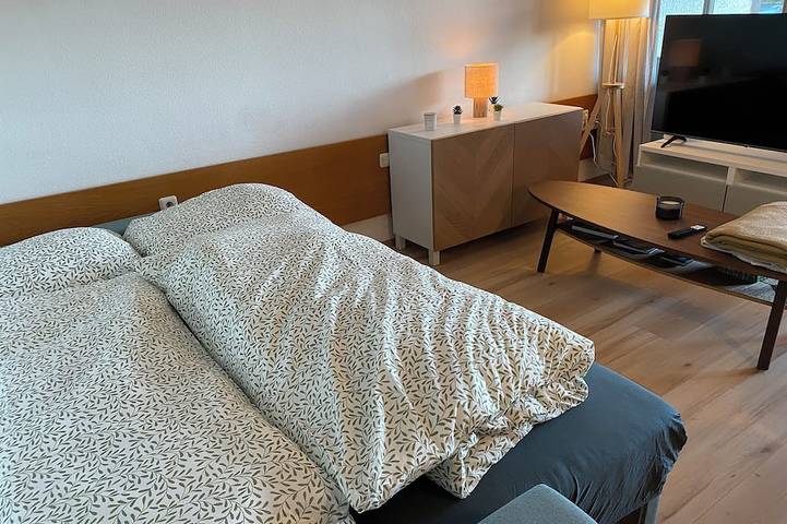 Ferienwohnung für 4 Personen, mit Balkon, mit Haustier in Haidmühle - 4