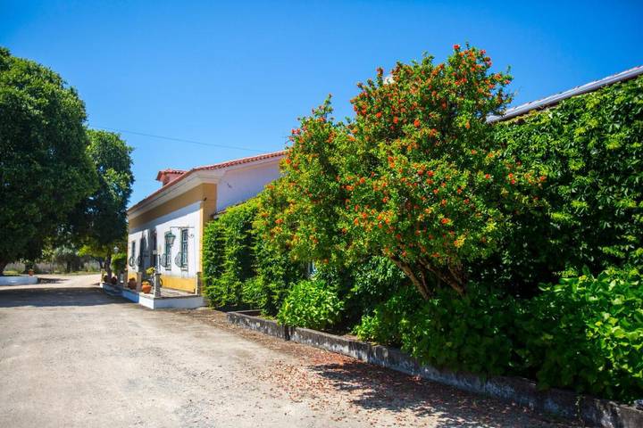 Location de vacances pour 2 personnes, avec jardin ainsi que piscine et vue dans Miranda do Corvo - 4