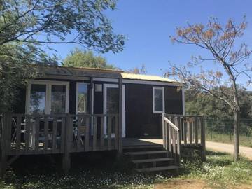 Camping voor 4 Personen in Roquebrune-sur-Argens, Draguignan en omgeving, Afbeelding 1