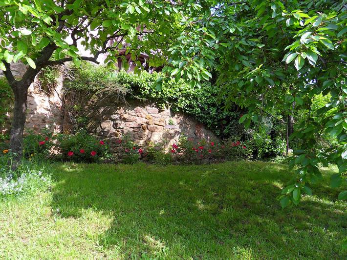 Appartement de vacances pour 4 personnes, avec jardin dans le Haut-Rhin - 4