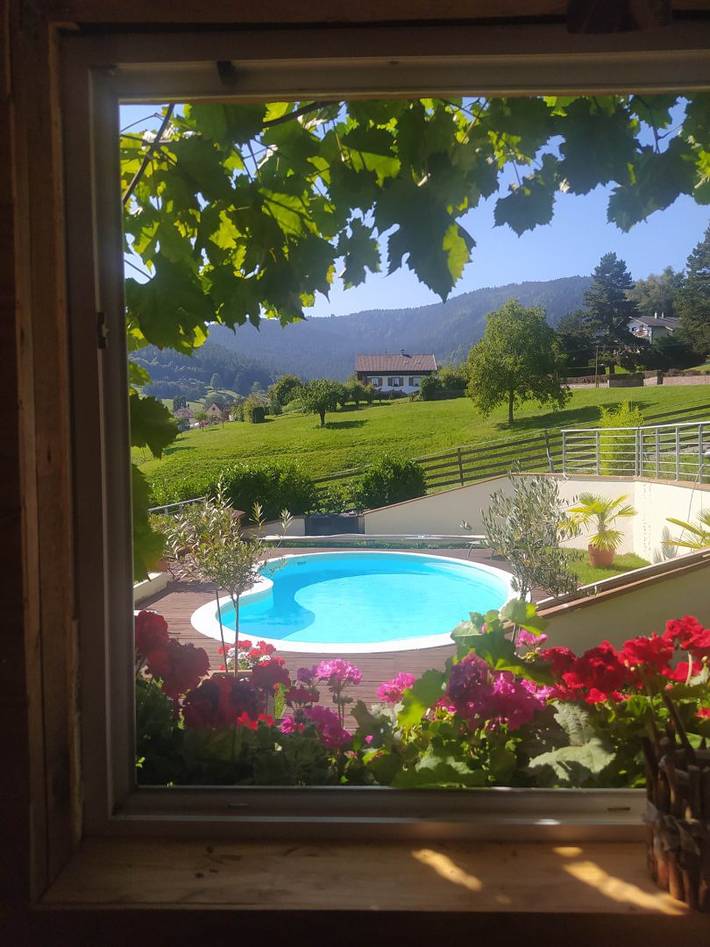 Appartement de vacances pour 6 personnes, avec Jacuzzi et Terrasse ainsi que Jardin et Piscine dans Grand Est - 3