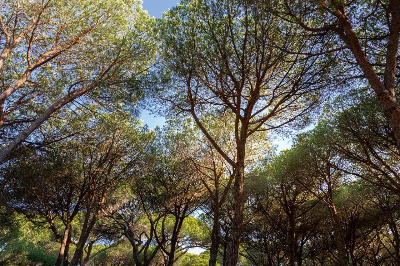 Camping Village Il Sole in Grosseto, Parco Naturale della Maremma