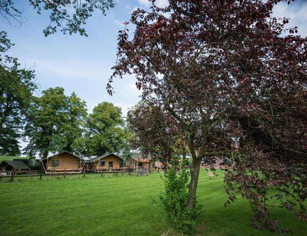 Vakantiehuis voor 2 personen, with Terras and Tuin as well as Uitzicht and Uitzicht op het meer in Steenbergen