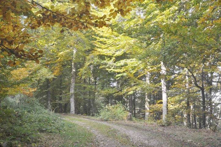 Apartamento de vacaciones para 4 personas, con terraza y vistas en Asturias - 2