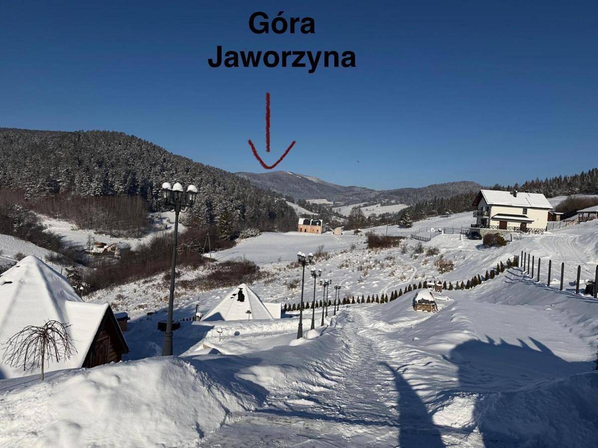 Sferyczny Azyl in Muszyna, Karpaty (Polska)