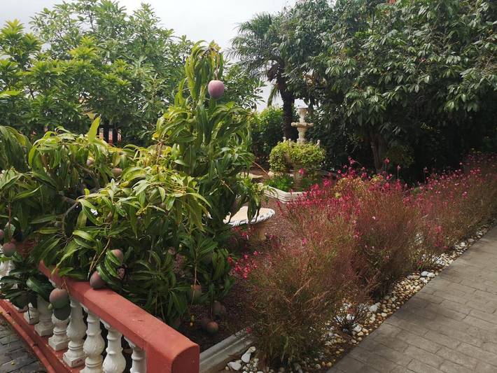 Casa rural para 4 personas, con jardín y vistas en San Cristóbal de La Laguna - 3