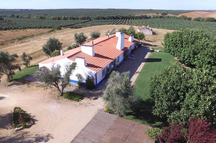 Gîte pour 12 personnes, avec Terrasse et Jardin