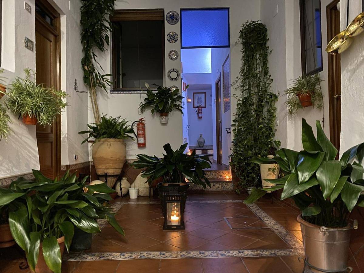 Pension San Pancracio in Casco Antiguo, Séville