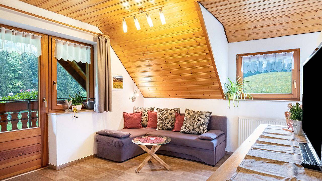 Ganze Ferienwohnung, Ferienwohnung für 4 Personen (50 m²) in Sankt Märgen in St. Märgen, Südschwarzwald