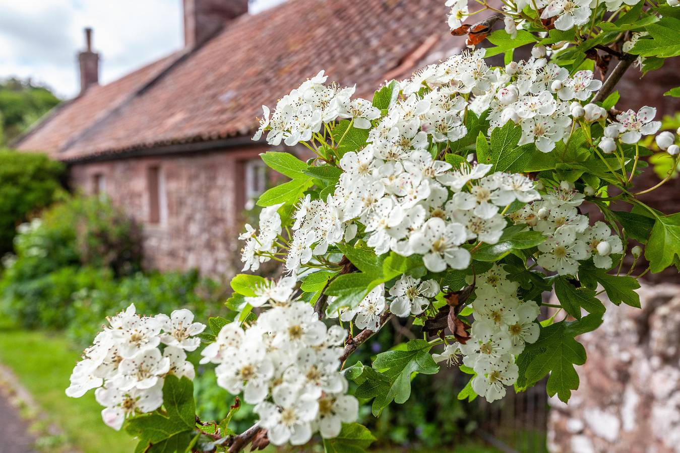 Old Smiddy Cottage in Edinburgh and Lothian