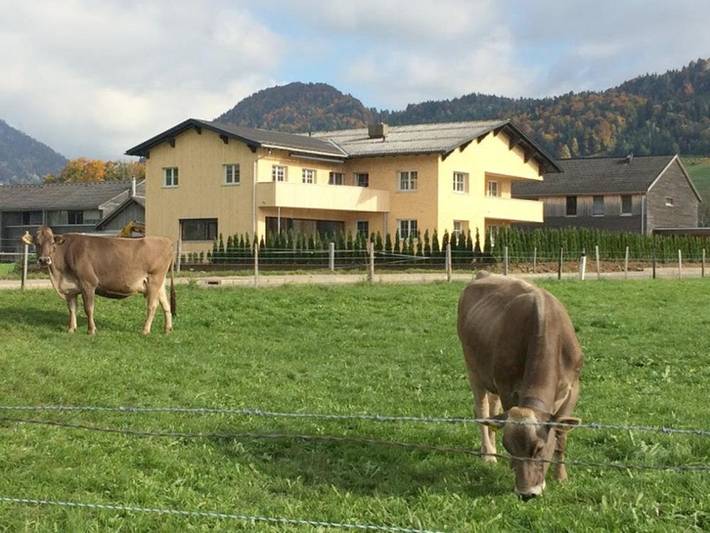 Ferienwohnung für 6 Personen, mit Balkon und Ausblick in Lingenau