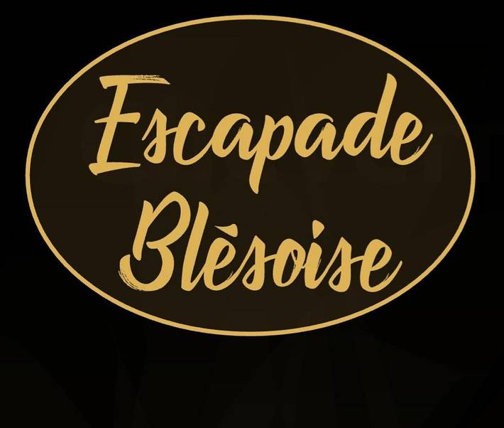 Chambre d’hôte pour 6 personnes, avec terrasse et jacuzzi à Blois - 3