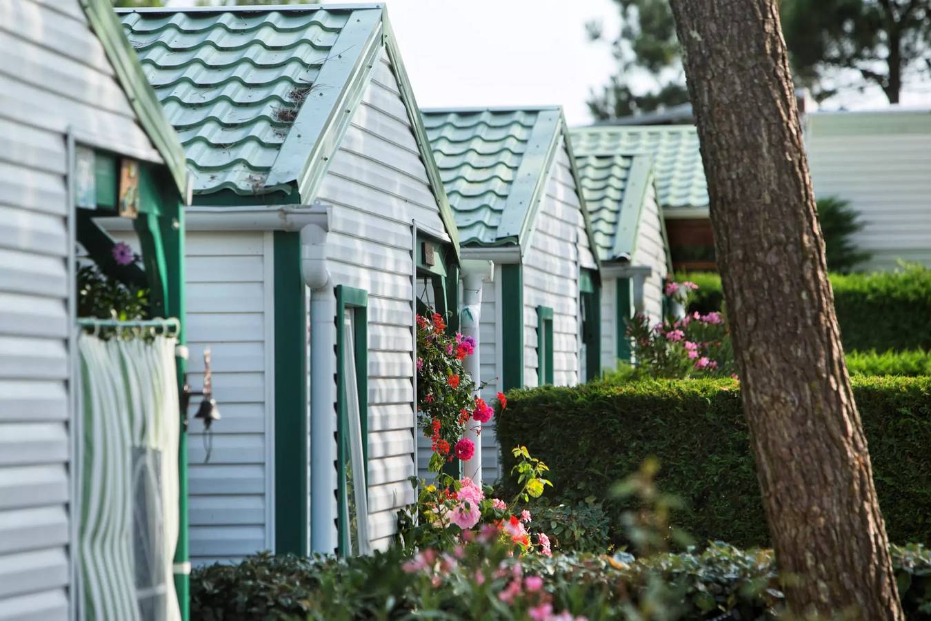 Mobile-home Cormoran 3 Pièces Pmr - adapté pour personnes à mobilité réduite 4 personnes in L'Aiguillon-la-Presqu'île, Vendée