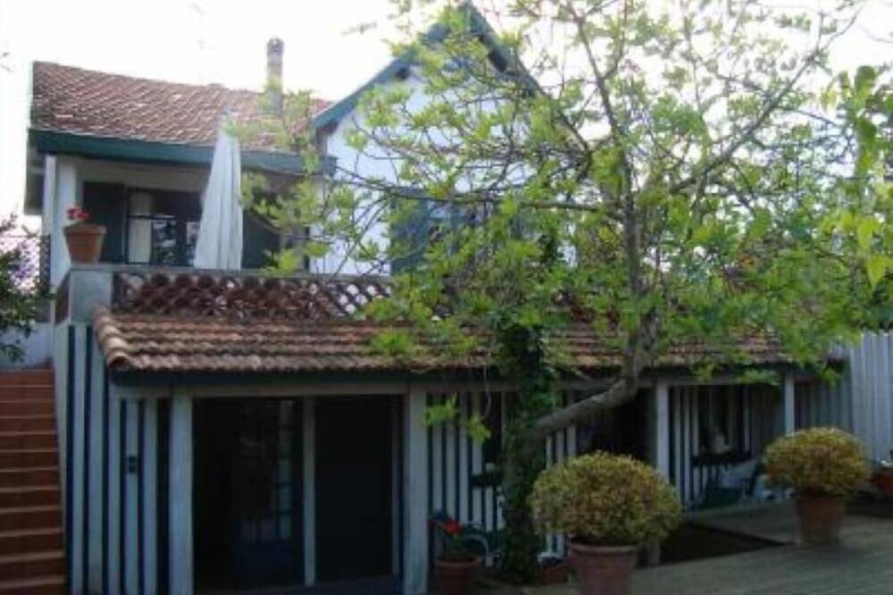 House / Villa - Cap ferret in Lège-Cap-Ferret, Arcachon region