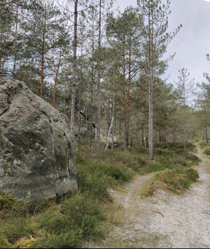 Location de vacances pour 9 personnes, avec terrasse et jacuzzi, animaux acceptés dans Sceaux-du-Gâtinais - 3