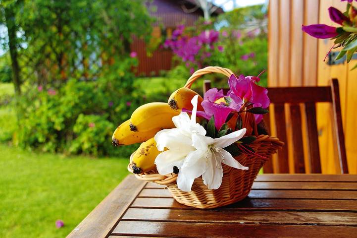 Bungalow für 2 Personen, mit Terrasse und Garten in Portugal - 2