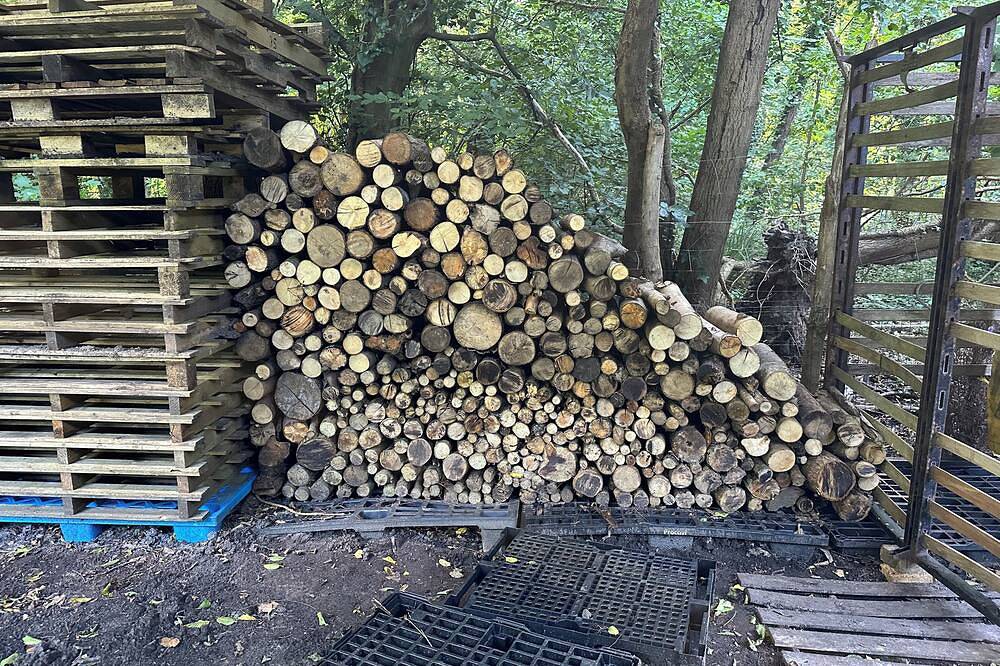 3000m2 forest clearing! in Seugy, Val-d'Oise
