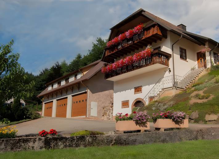 Ganze Wohnung, Apartment 'Schmetterlingswiese' mit privater Terrasse, Gemeinschaftsgarten und Wlan in Lahr, Mittlerer Schwarzwald