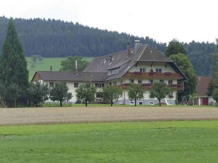 Ganze Ferienwohnung, Lehmannshof - Ferienwohnung 60qm, 2 Schlafräume , max. 4 Pers. in Zell am Harmersbach, Mittlerer Schwarzwald