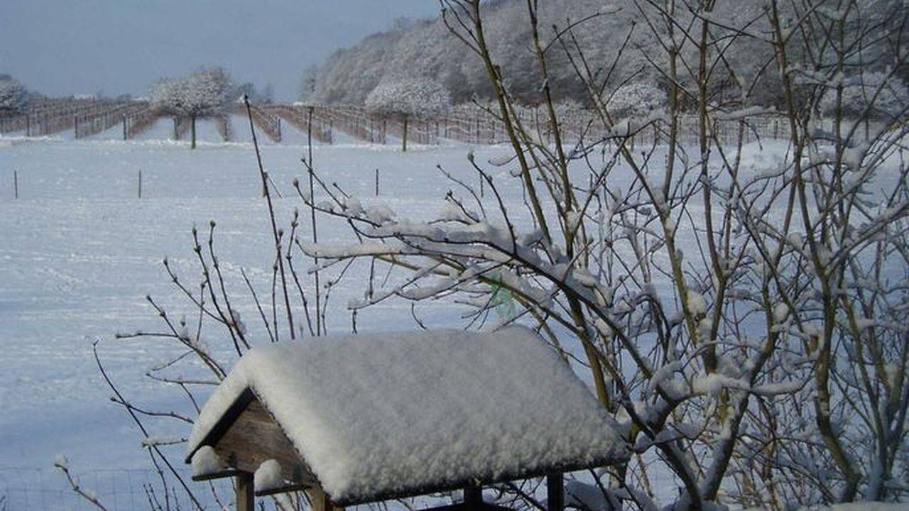 Ganze Ferienwohnung, Ferienwohnung für 2 Personen (50 m²) in Buxtehude in Buxtehude, Altes Land Stade