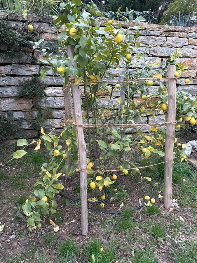 Camping pour 2 personnes, avec piscine ainsi que jardin et vue, animaux acceptés