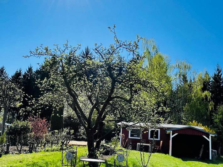 Ferienwohnung für 4 Personen, mit Terrasse in Großschönau - 4