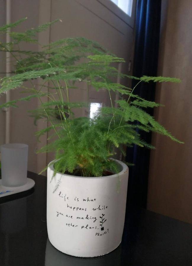 Location de vacances pour 2 personnes, avec vue à Leeuwarden - 4