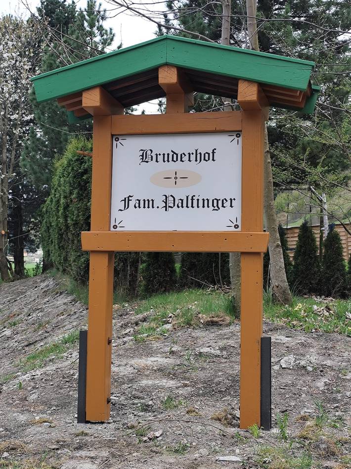 Ferienwohnung für 4 Personen, mit Garten und Terrasse in Rauris - 3