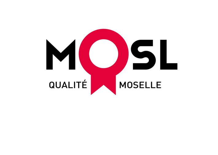 Gîte pour 10 personnes, avec jardin et balcon dans Sarreguemines - 2