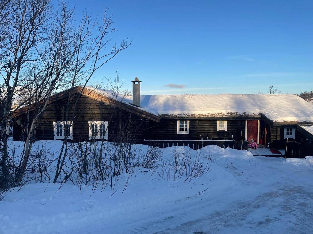 Large, cozy, and spacious cabin in Geilo, Kikut in Geilo, Hol