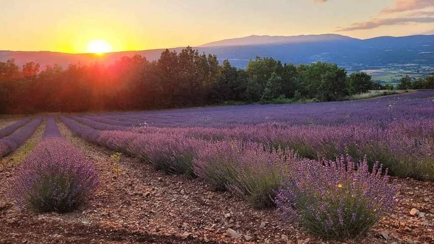 Gîte pour 4 personnes, avec terrasse ainsi que jardin et vue à Saint-Trinit