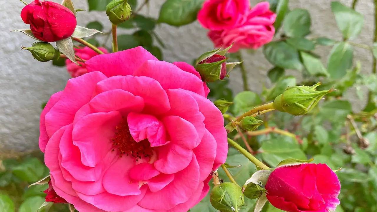 Hel semesterlägenhet, Ferienwohnung für 6 Personen (50 m²) in Furunäs in Orust